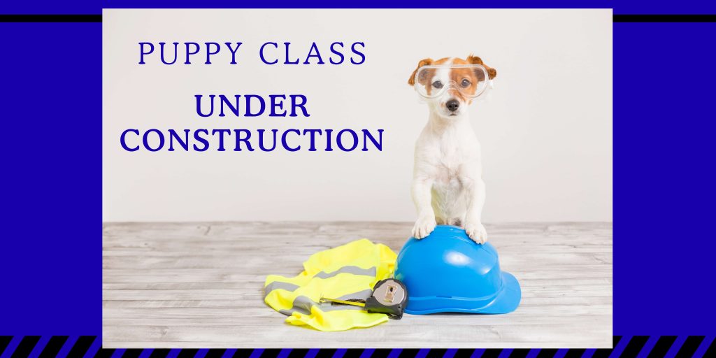 Puppy Classes under construction